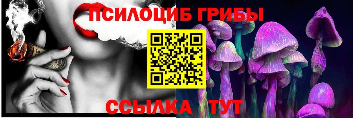 Галлюциногенные грибы прущие грибы  Псилоцибиновые грибы Magic Shrooms  Гудермес  Вход с VPN 